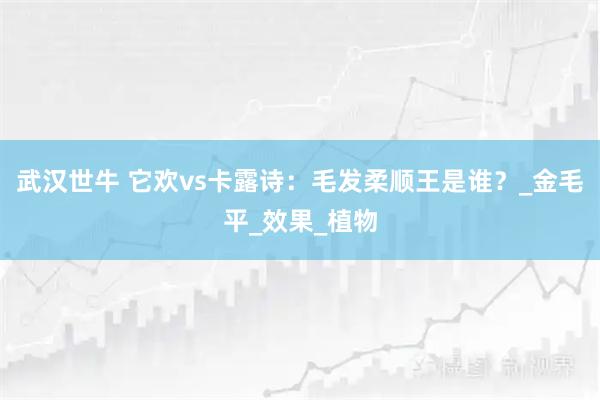 武汉世牛 它欢vs卡露诗：毛发柔顺王是谁？_金毛平_效果_植物