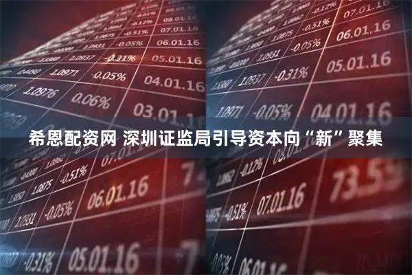 希恩配资网 深圳证监局引导资本向“新”聚集