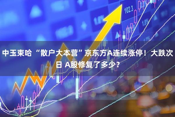 中玉束哈 “散户大本营”京东方A连续涨停！大跌次日 A股修复了多少？