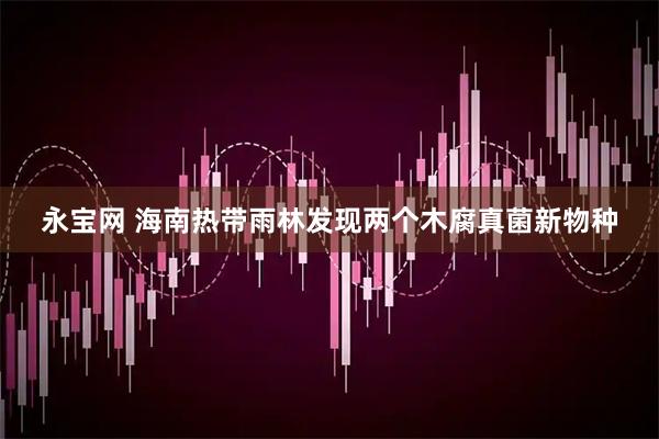 永宝网 海南热带雨林发现两个木腐真菌新物种