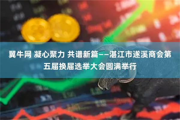 翼牛网 凝心聚力 共谱新篇——湛江市遂溪商会第五届换届选举大会圆满举行
